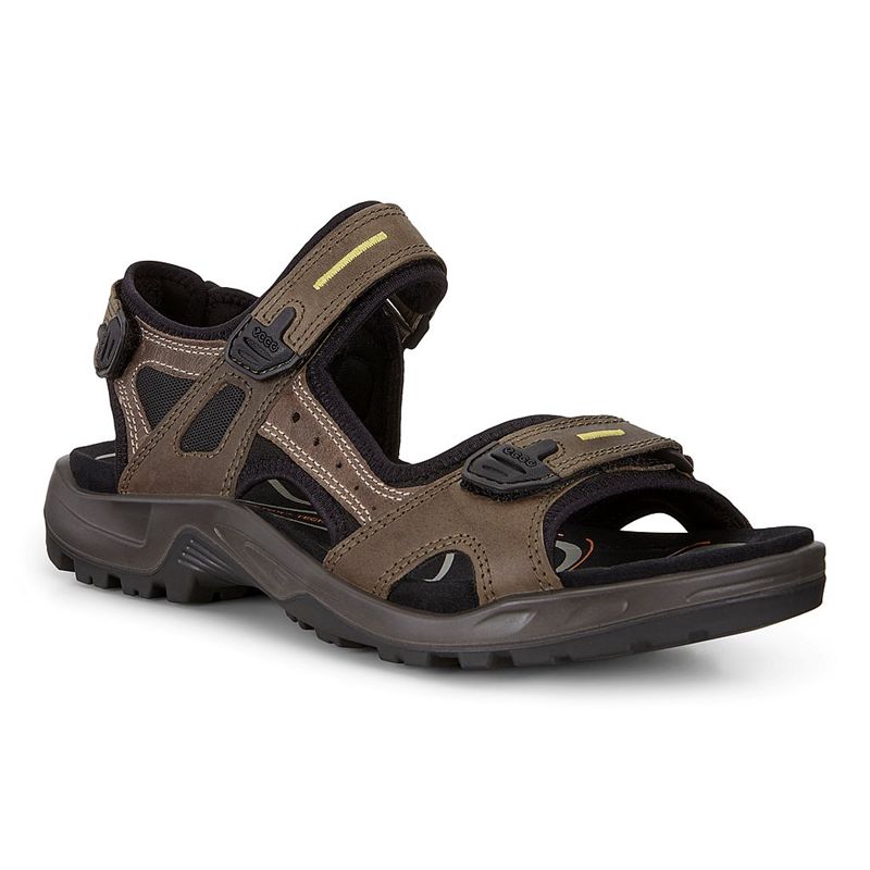 Men Ecco Offroad - Sandals Brown - India IPXGVO195